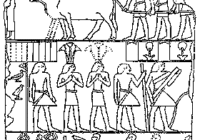 Рисунок на блоке из гробницы Птахотепа II в Саккаре (эпоха Древнего Царства), который изображает двух танцоров му с листьями папируса, венчающими их лбы. Юнкер определил, что это цветочные «короны» с «эмблемами» Нижнего Египта и связал этих му с погребальными церемониями Додинастическими периода Дельты Египта метрополя Буто.